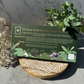 Cojín Herbal para relajar el cuerpo, la mente y darle amorcito al corazón UMHANA | Mezclas a base de Plantas & Adaptógenos